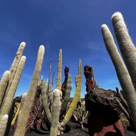 アパート Casa Tie' Lanzarote Vista Mar - Piscina Relax - Adults Only