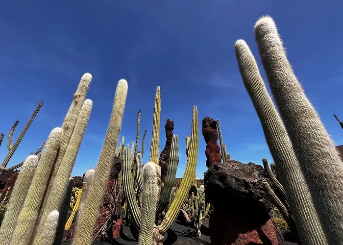 Lejlighed Casa Tie' Lanzarote Vista Mar - Piscina Relax - Adults Only